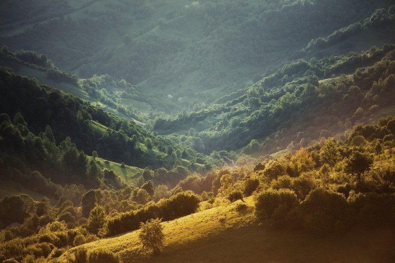 Вечер, Июнь, Карпаты, Лето Июньский двуколор фото превью