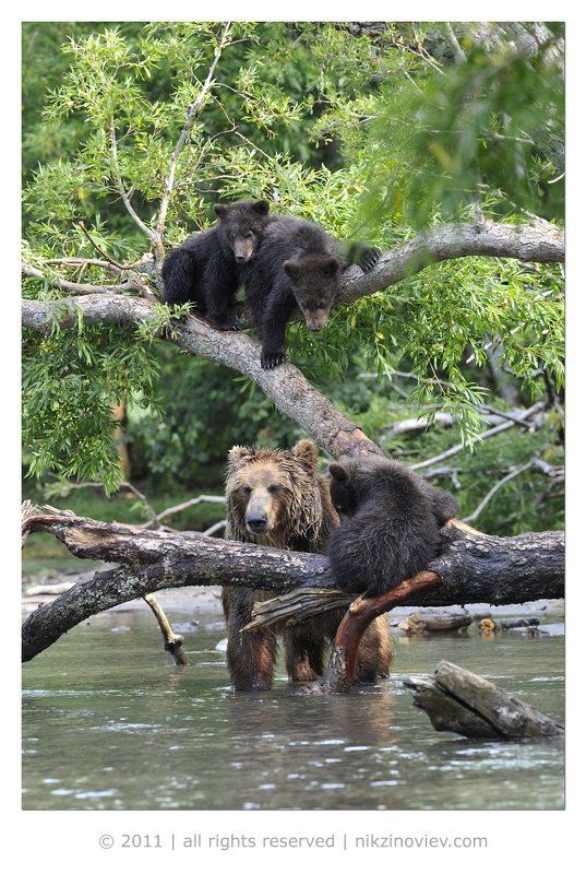 Верхолазы фото превью