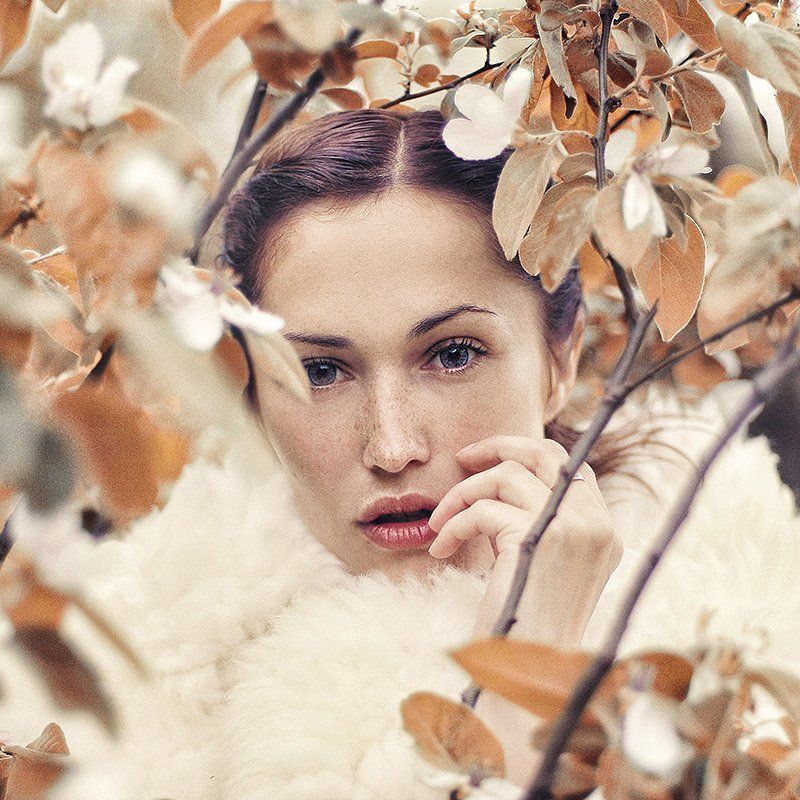 *** фото превью