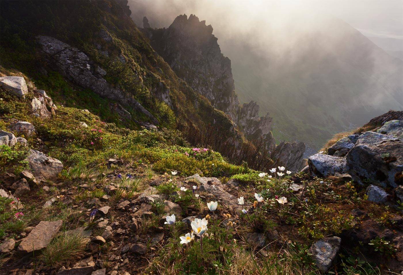 , Андрій Плясун