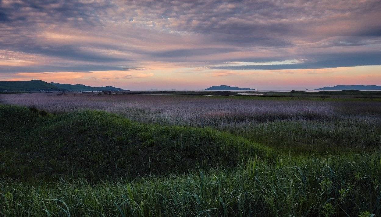 , Андрей Кровлин