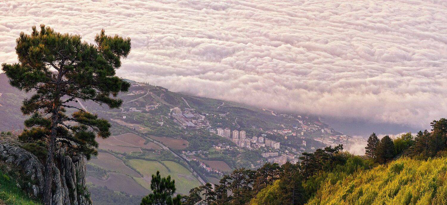 , Игорь Мелекесцев