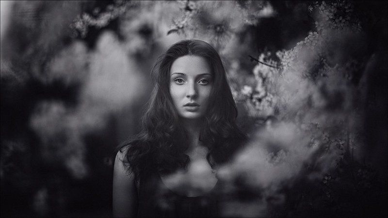 *** фото превью