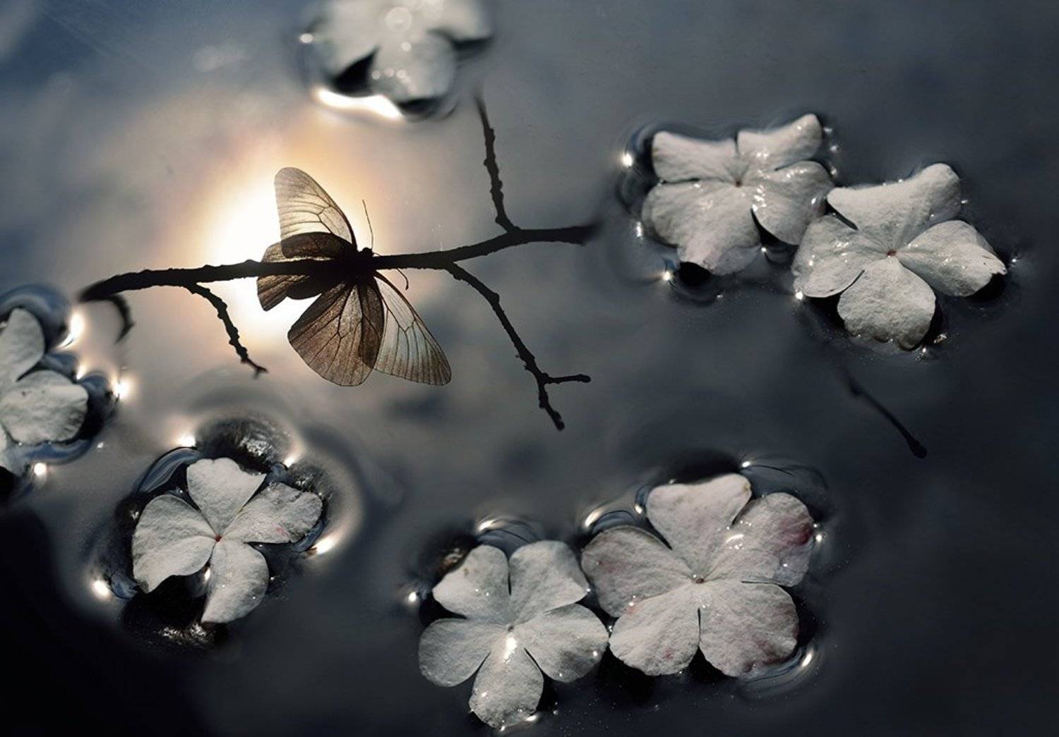 , Юлия Борзилова