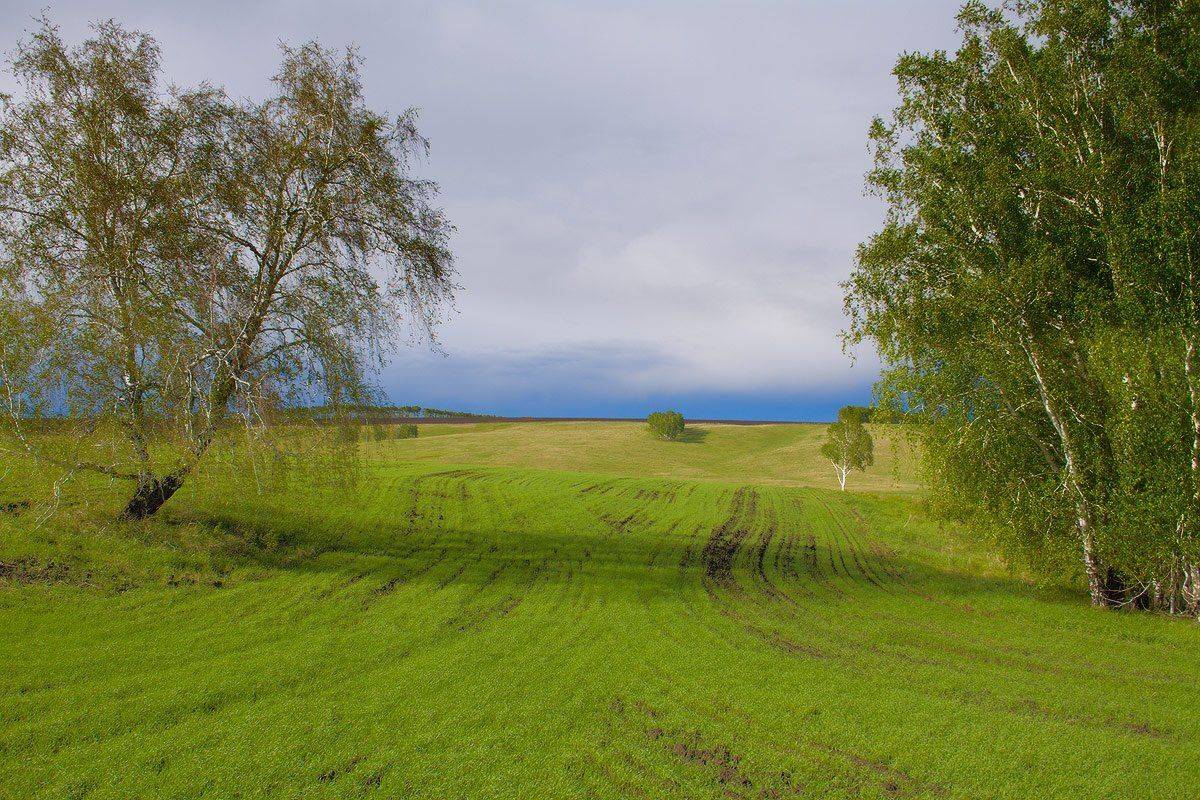 , Николай Морский