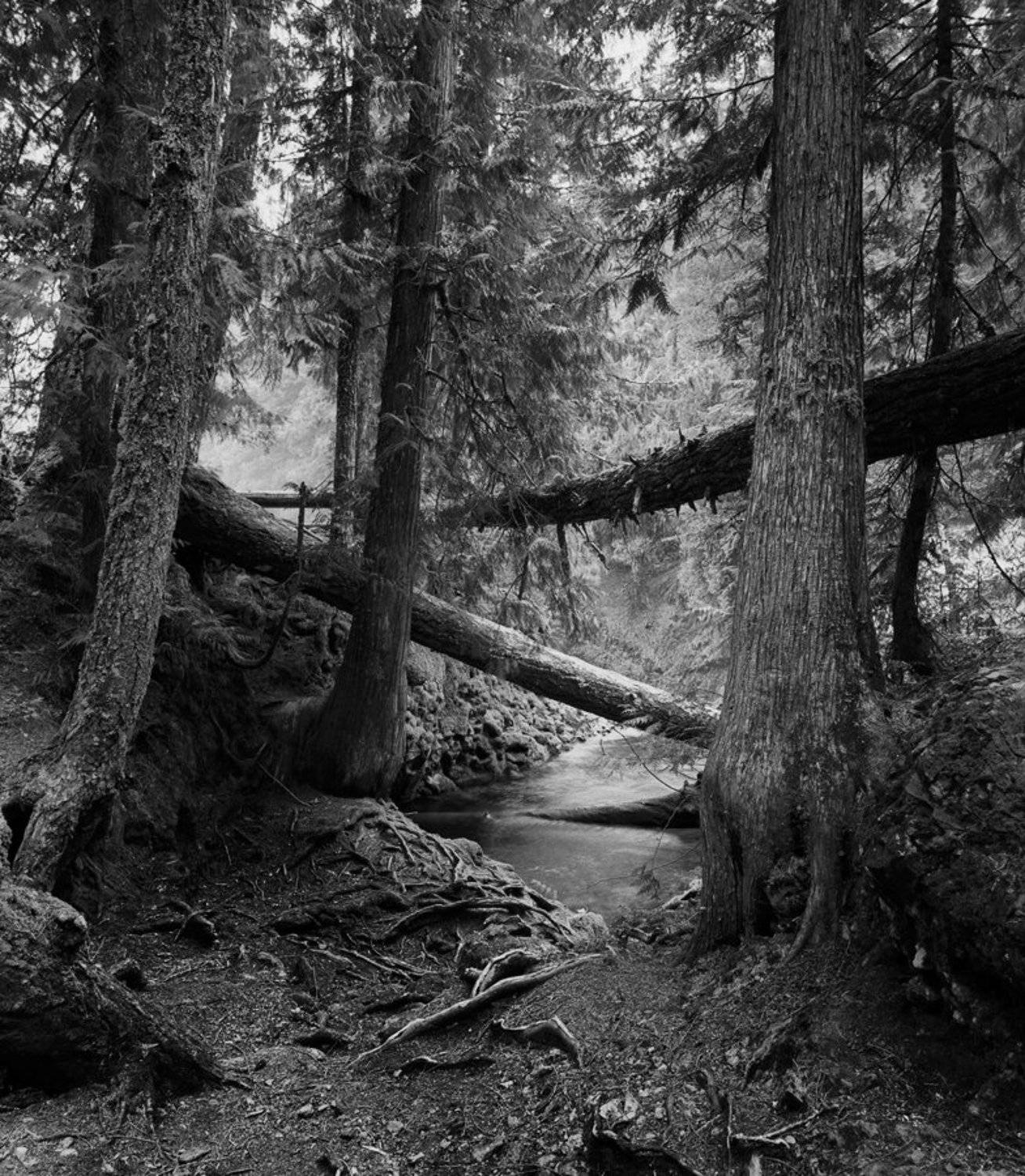 , Alexander Ravin (www.worldwidephoto.ru)