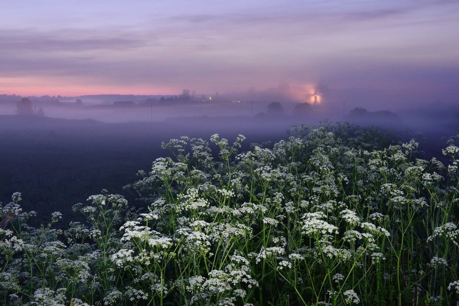 , Максим Евдокимов