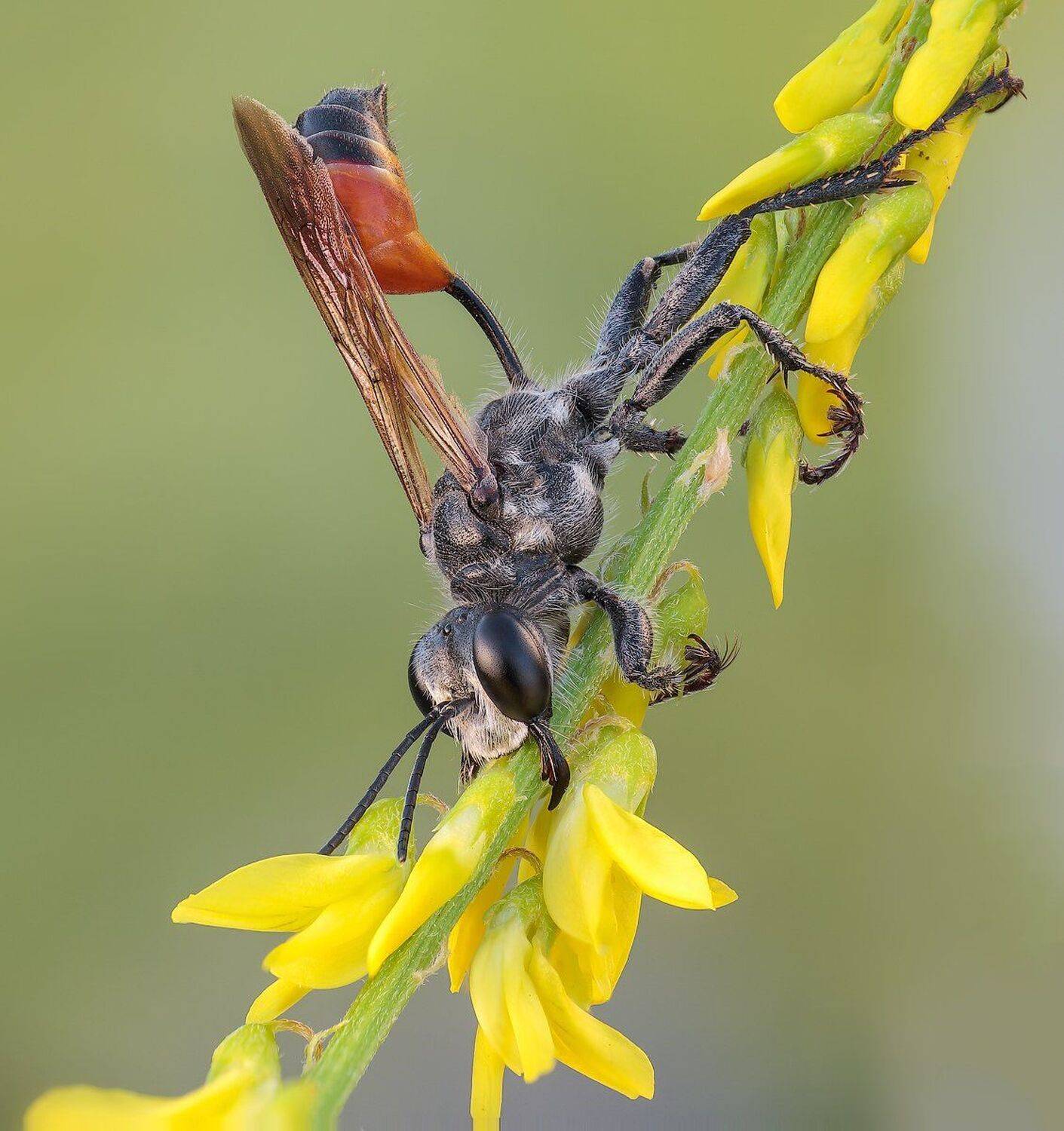 , Вадим Ходаковский