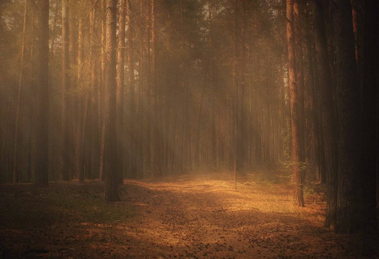 , Иван Наборщиков