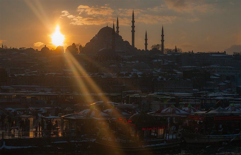 winter sun фото превью