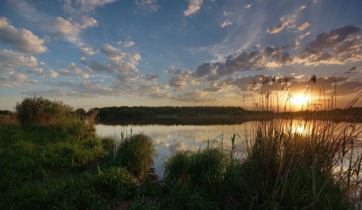 , Володимир Карчевський