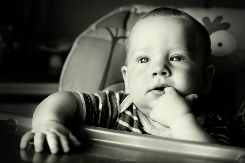 Тимур фото превью