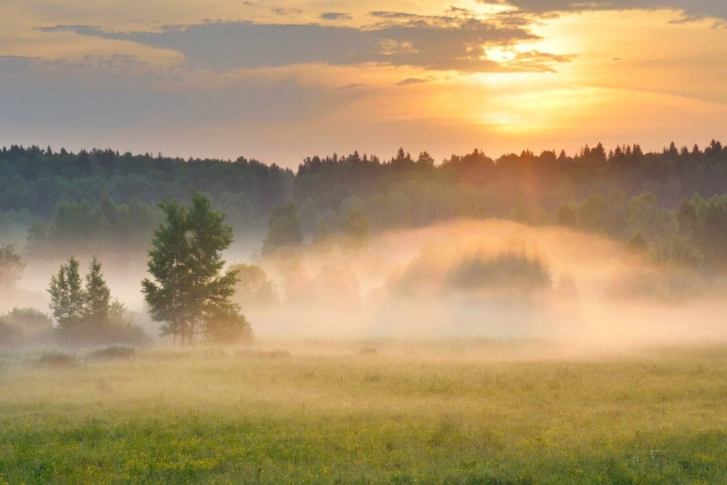 , Максим Евдокимов