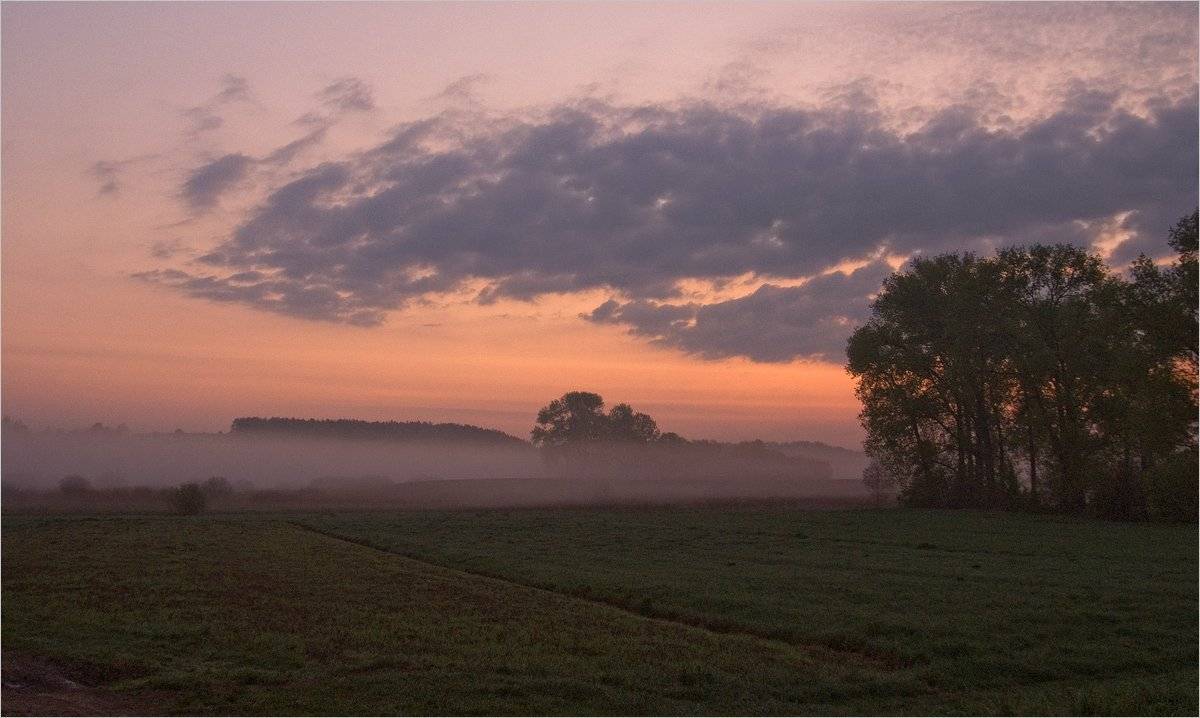 , Николай Шахманцир