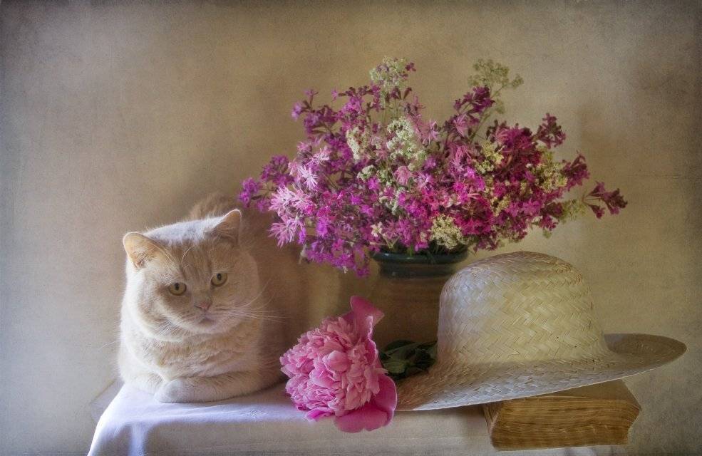 , Eleonora Grigorjeva