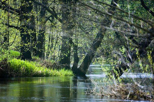 Pro ритмы весенней реки