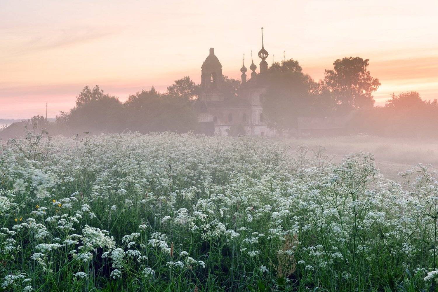 , Максим Евдокимов