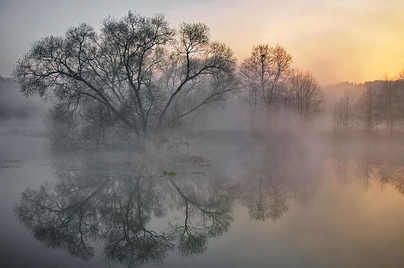 .... лиирика цвета ... фото превью
