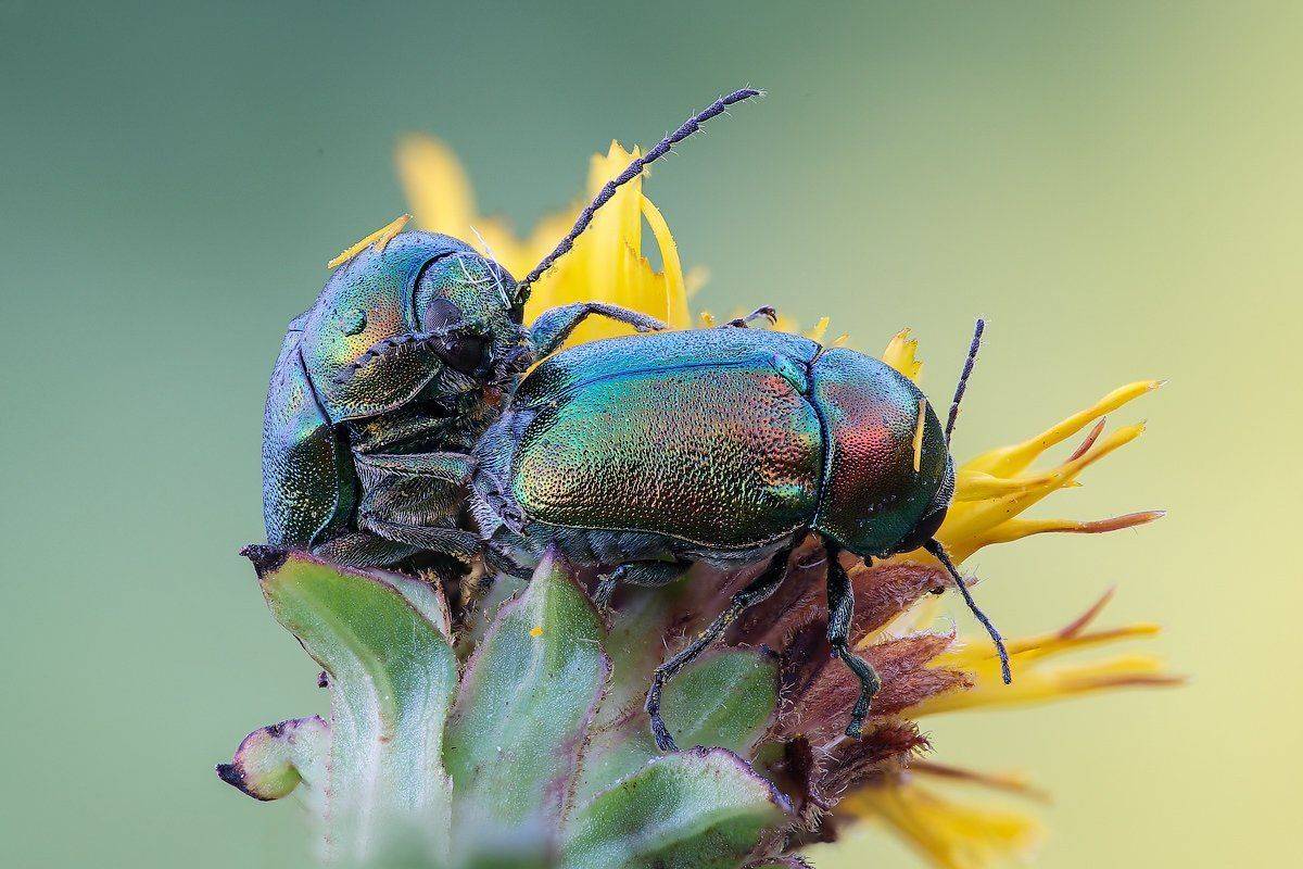 , Вадим Ходаковский