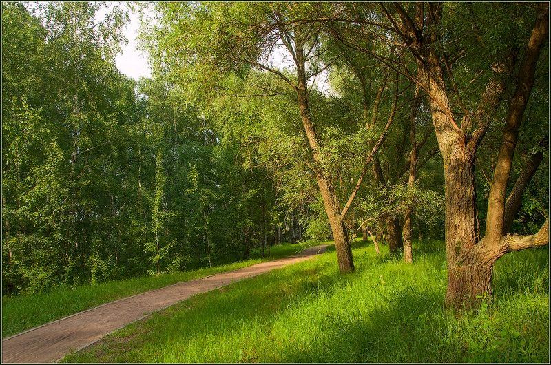 **** фото превью