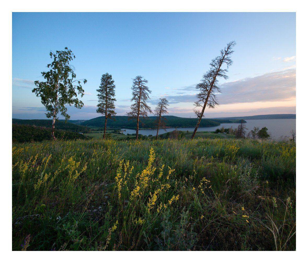 , Владимир Ляпин