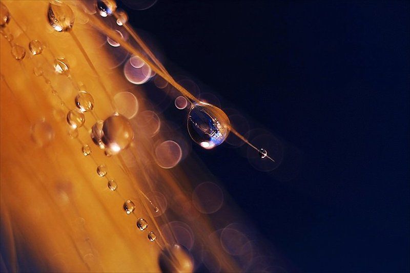 В полёт фото превью