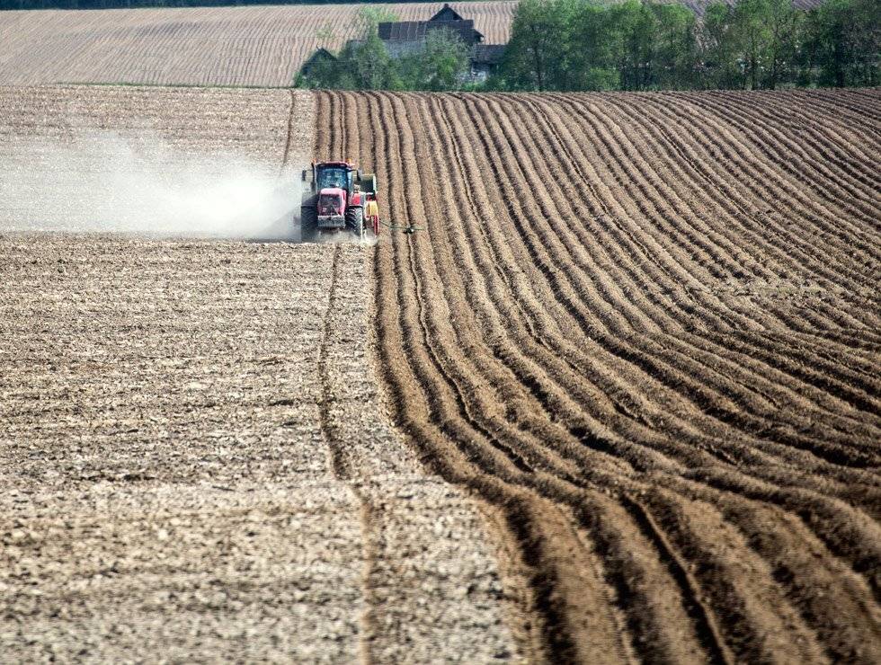 , Людмила Прокофьева