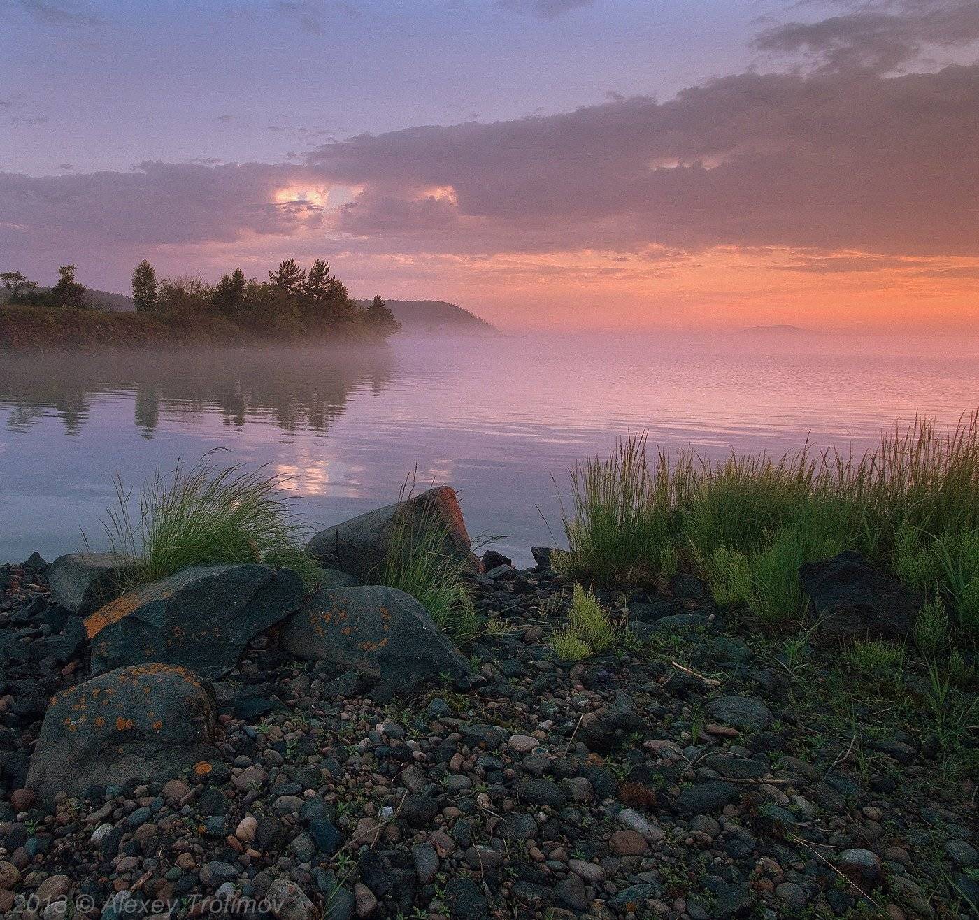 , Алексей Трофимов