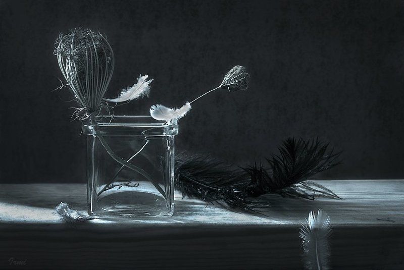 ~~~ фото превью