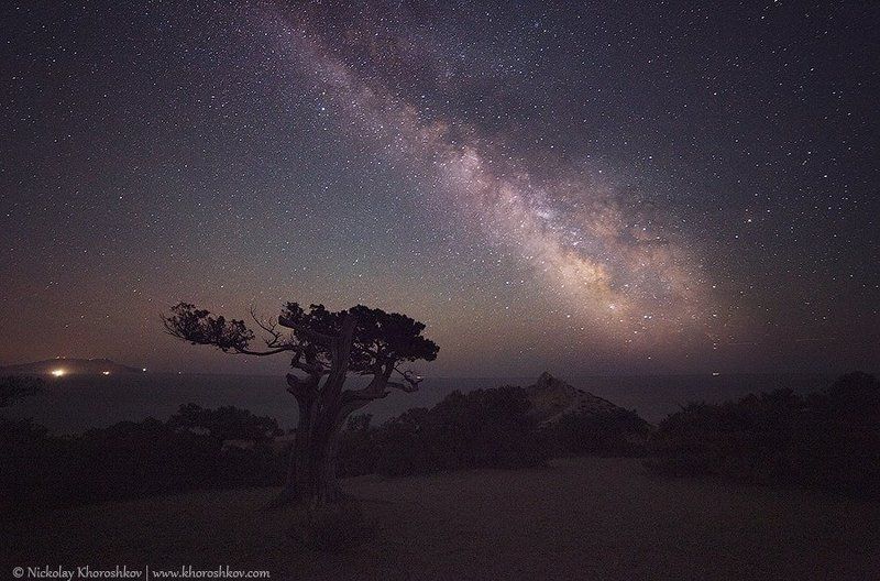 Млечный путь над можевеловой рощей фото превью