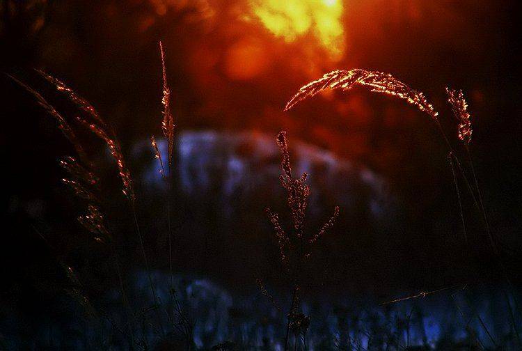 wake,grass,styled,burning time, Эмеральд Ваке