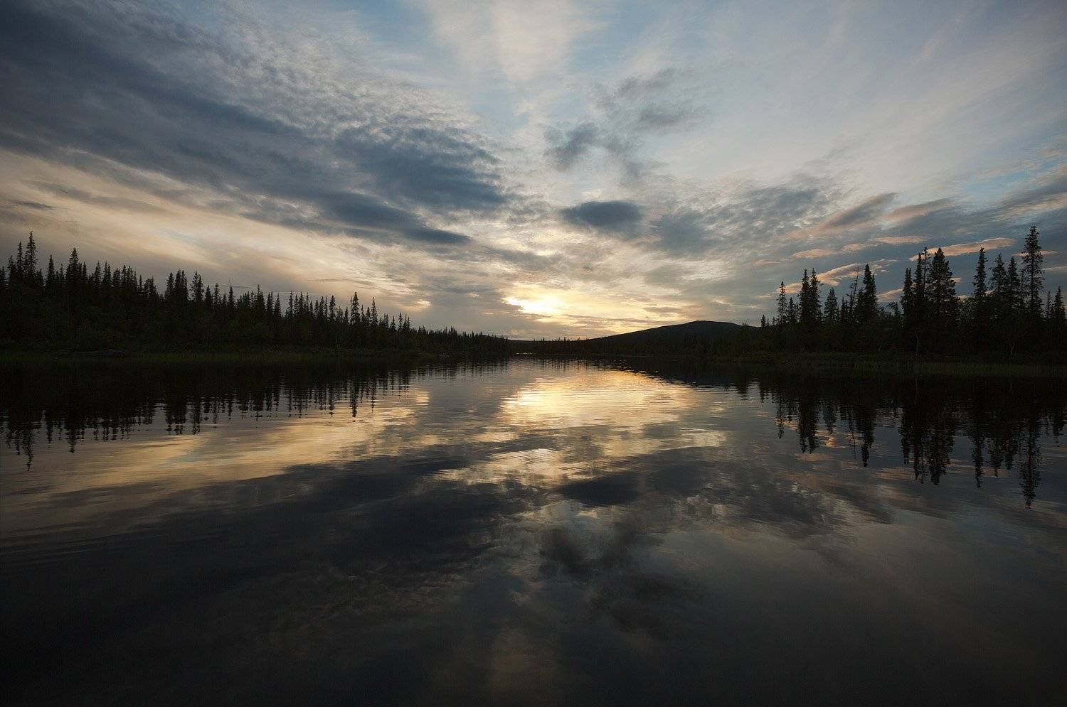 кольский, полуостров, озеро, чорвеч, лето, Nikolai (locus)