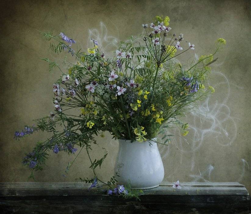 , Петрова Татьяна