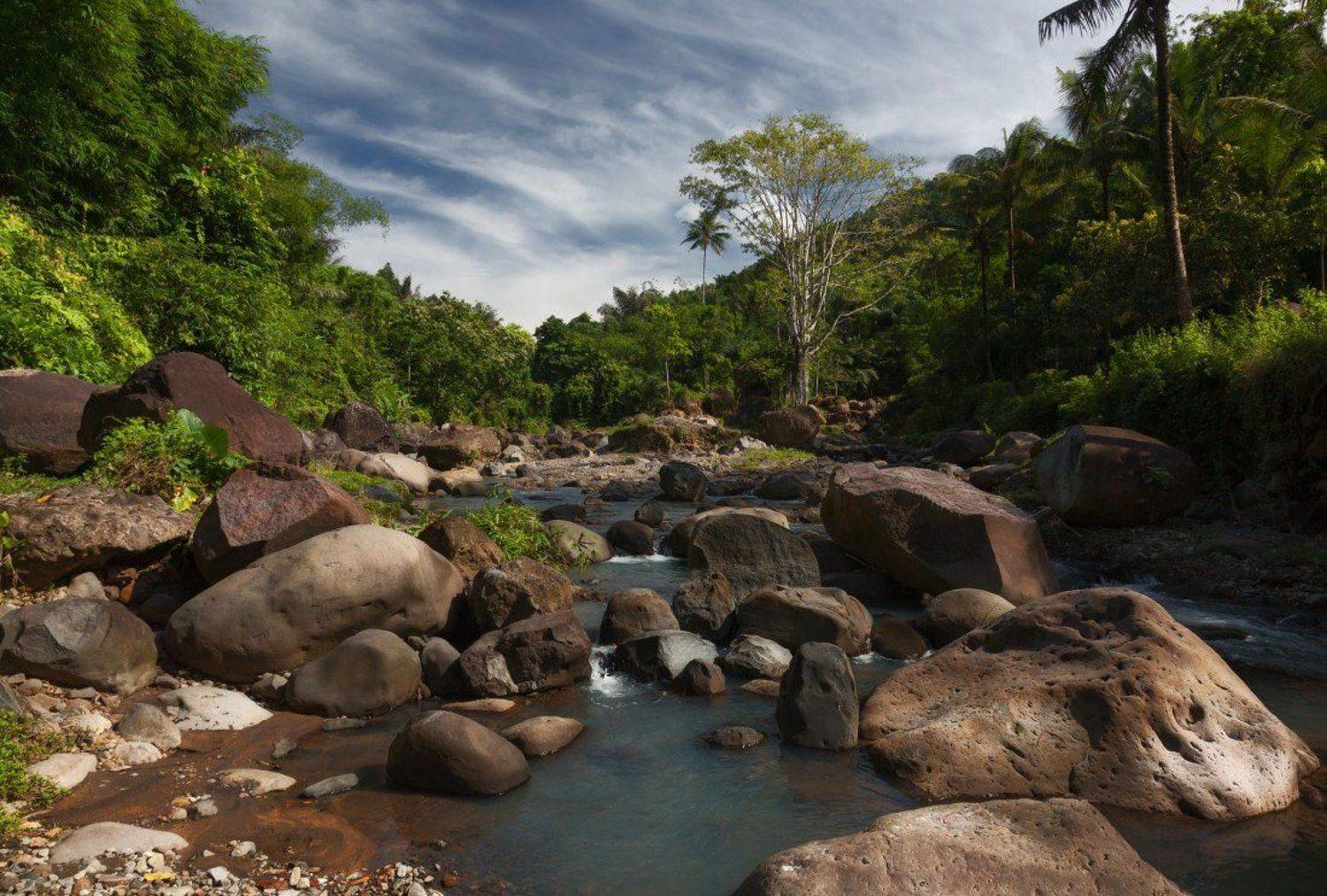 река, камни, джунгли, пальма, облака, индонезия, Георгий Машковцев