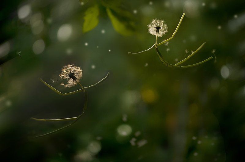 летний позитивчик) фото превью