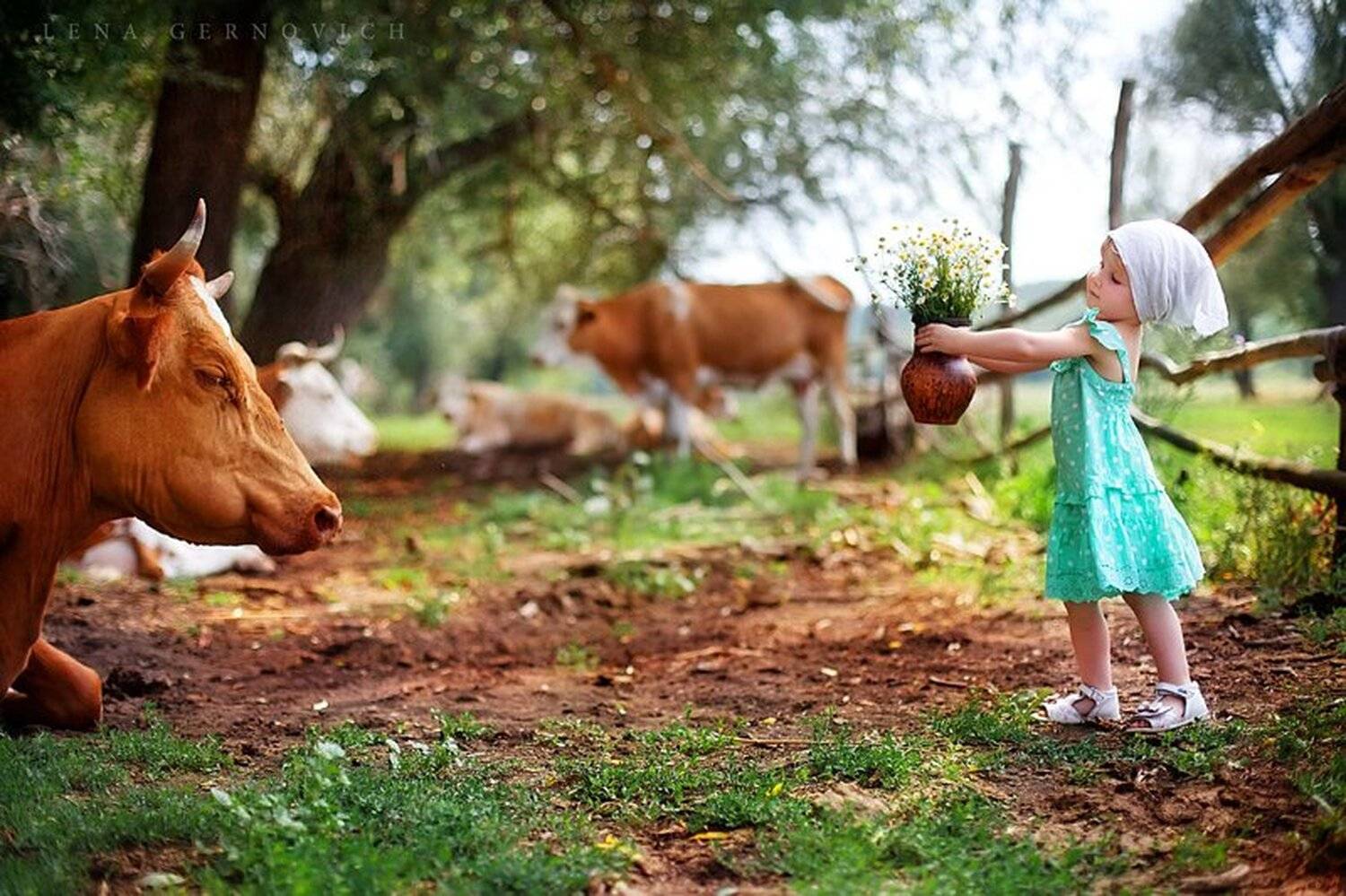 , Гернович Елена