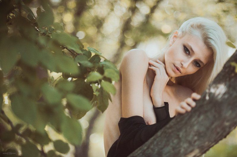 A фото превью