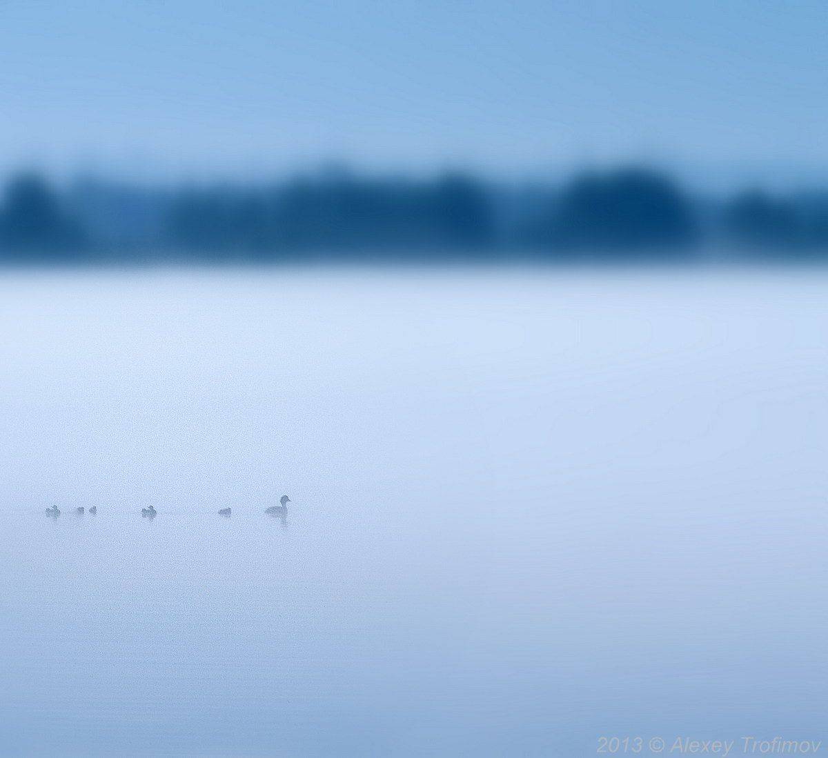 , Алексей Трофимов