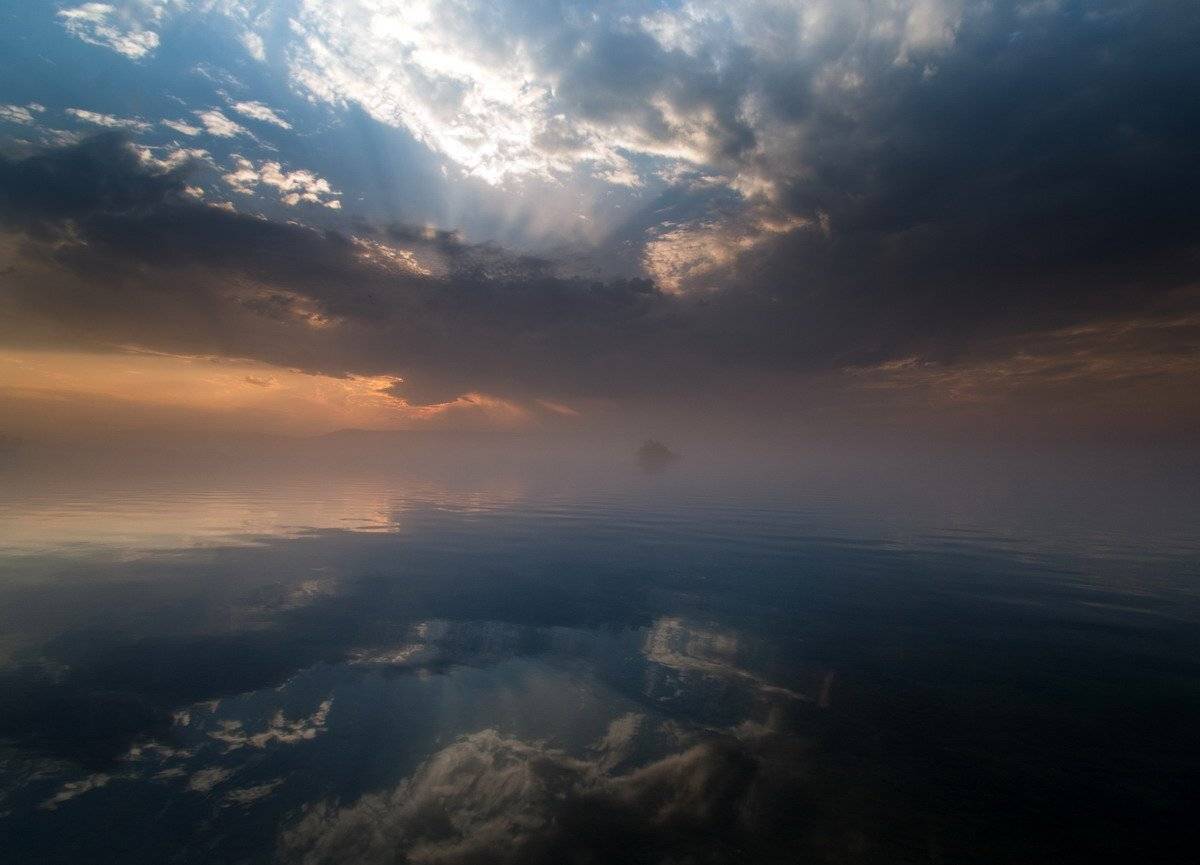 , Алексей Трофимов