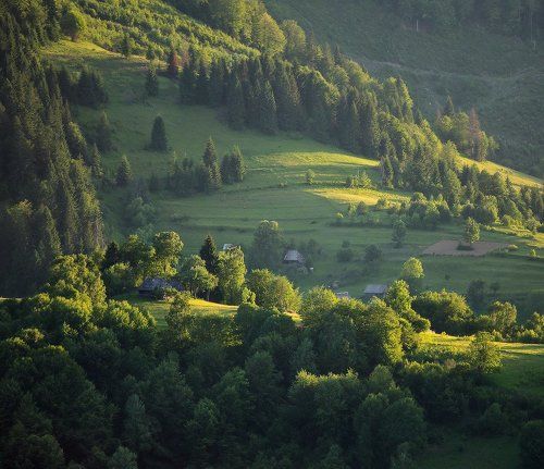 Карпаты. Начало июня.