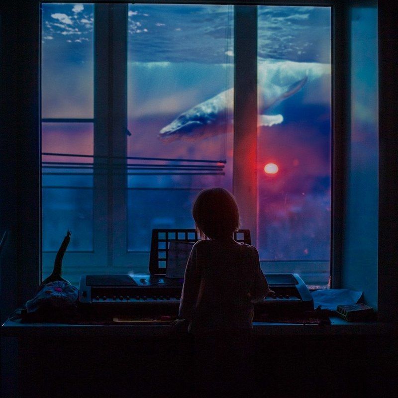 Whale melody фото превью