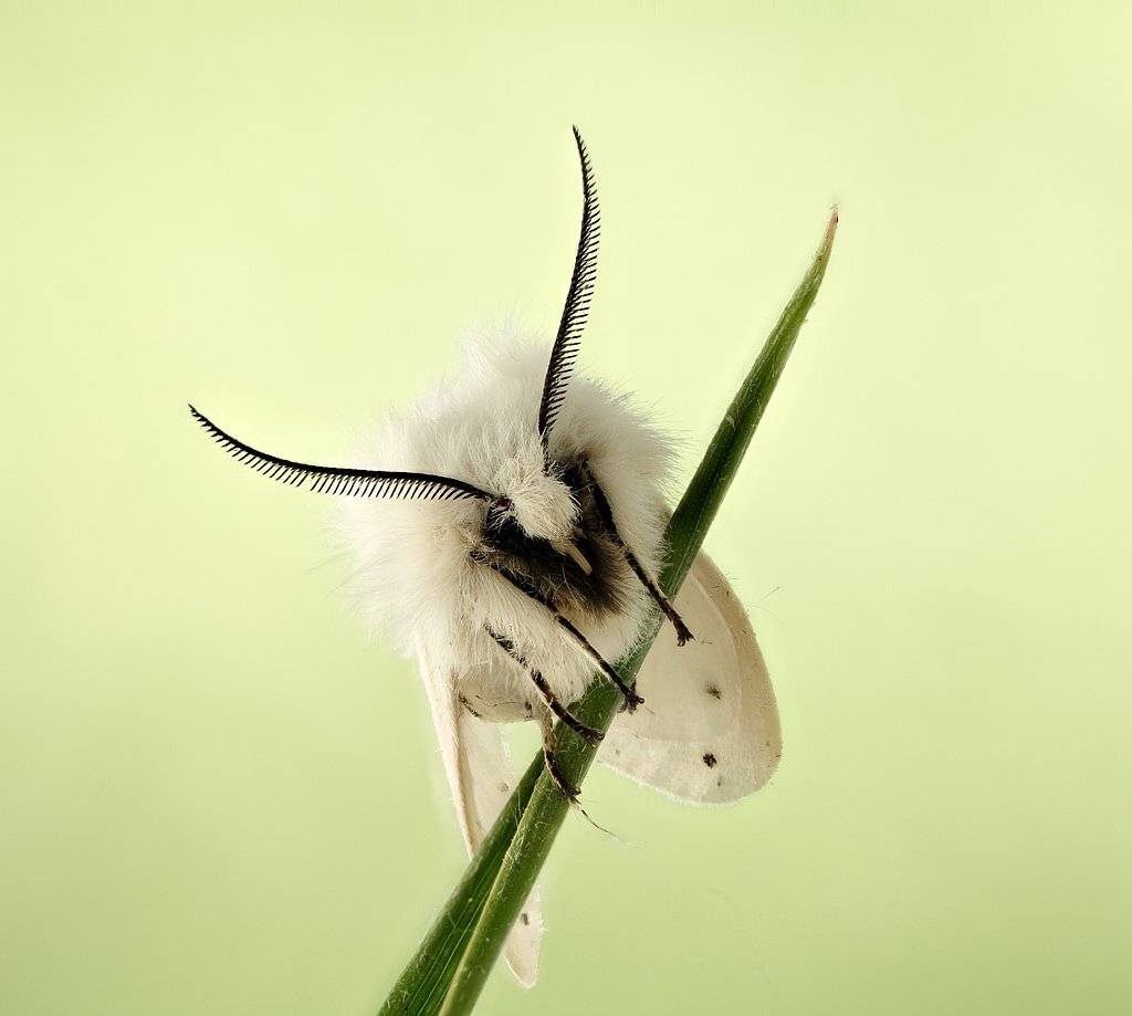 , Сергей Таланов