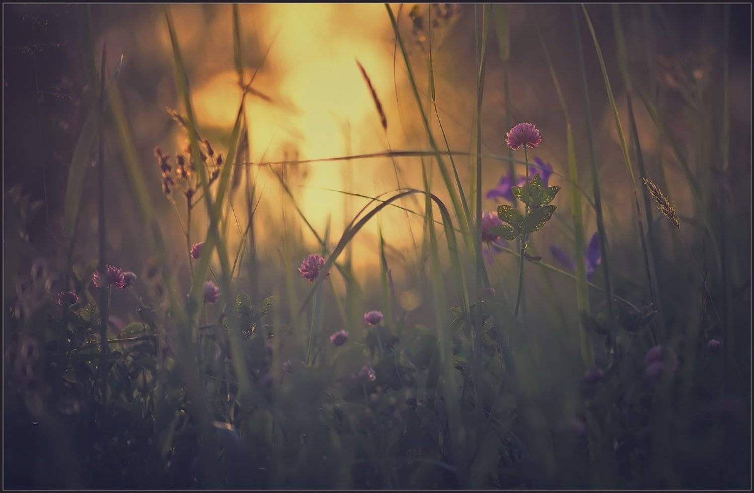 , Евгений Кирилкин.