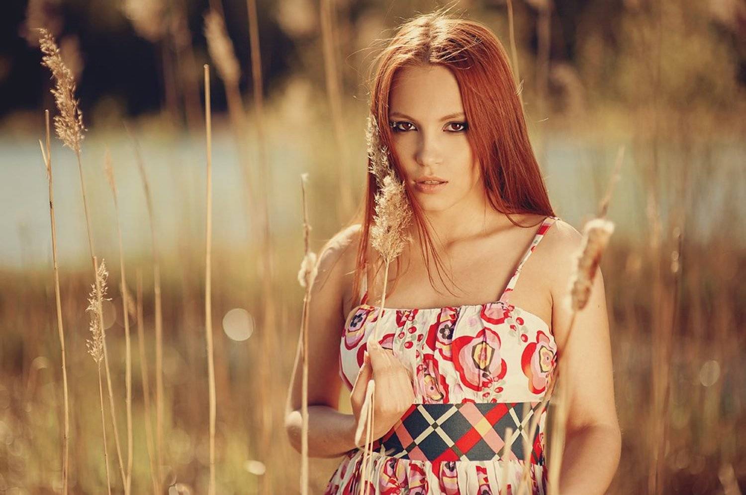 , Ганиев Тимур