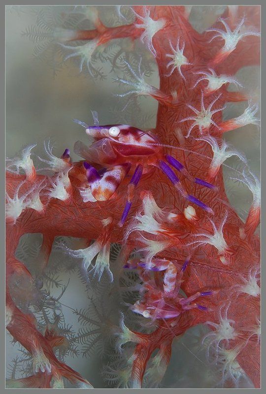 Парочка фото превью