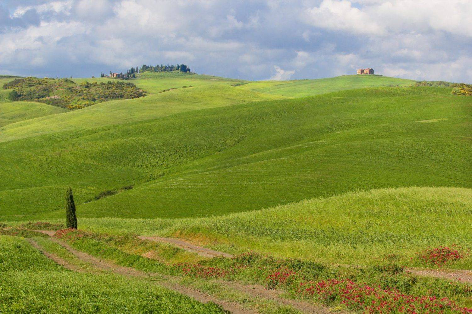 тоскана, Екатерина Богданова