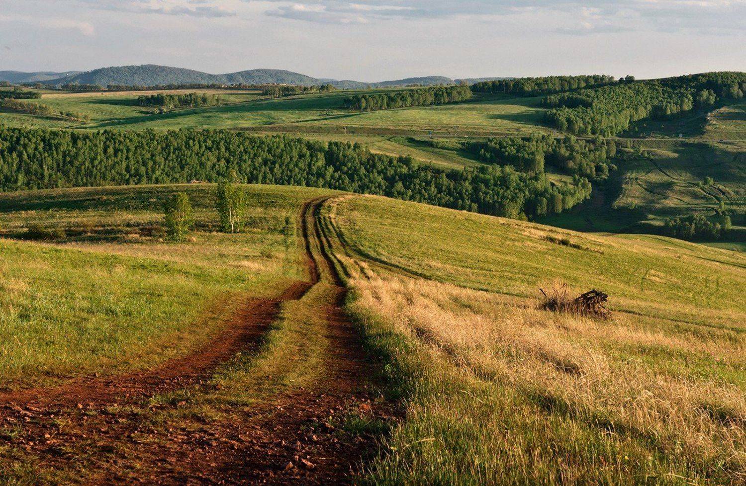 вечер, дорога, пейзаж, холмы, Криволуцкий Игорь