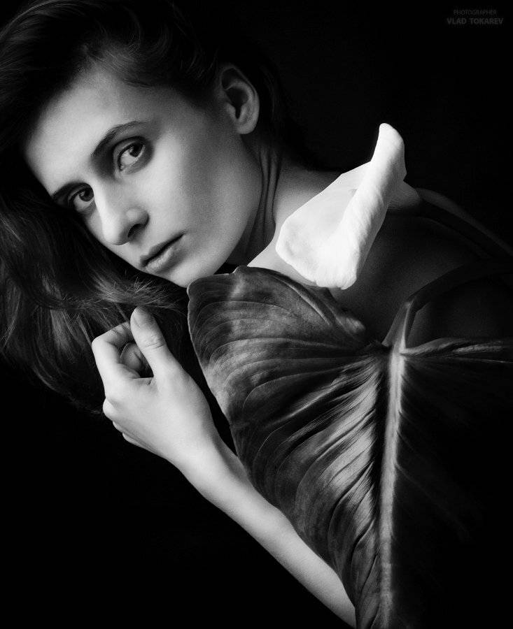 , Владислав Токарев