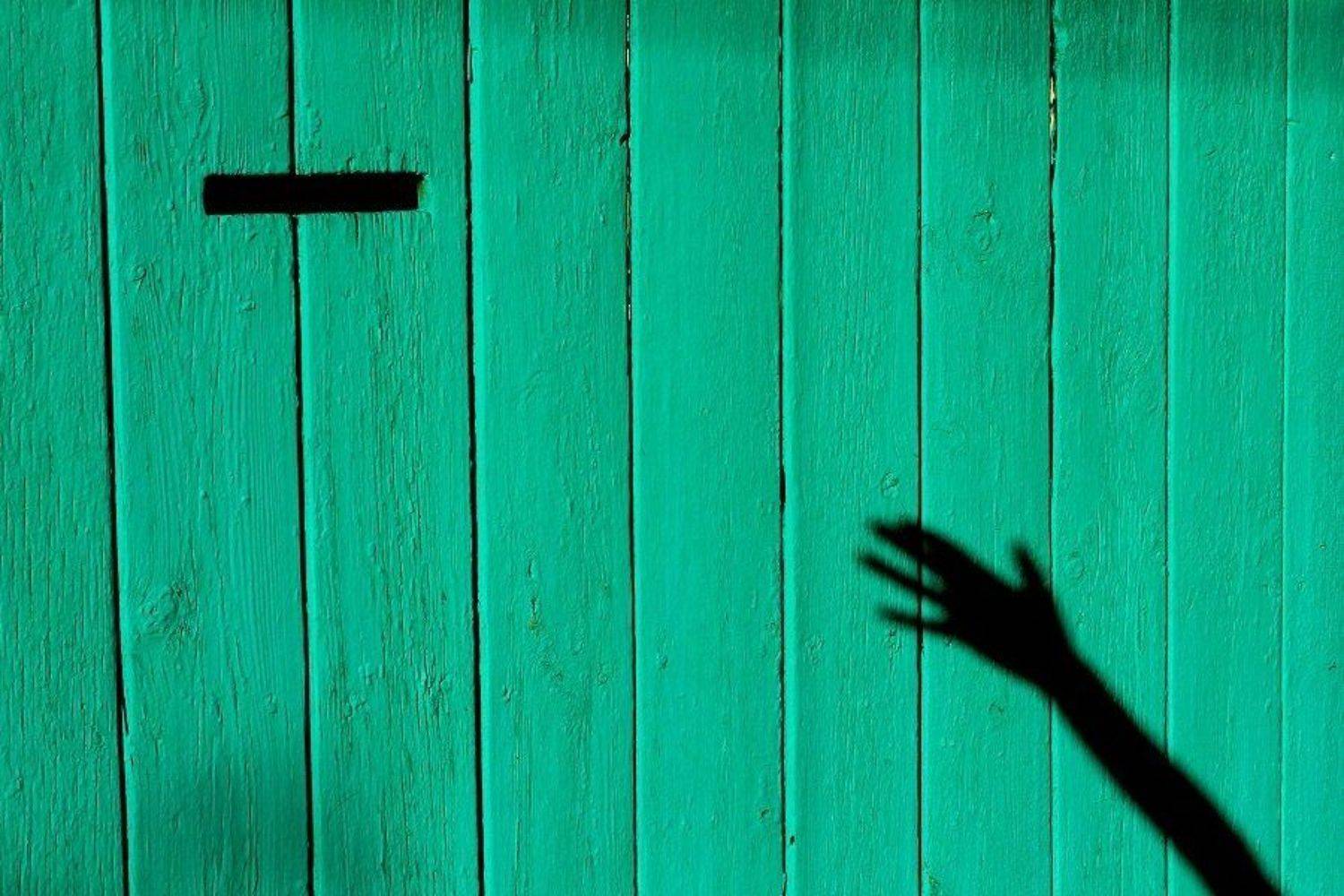 , Сюзанна Шевченко