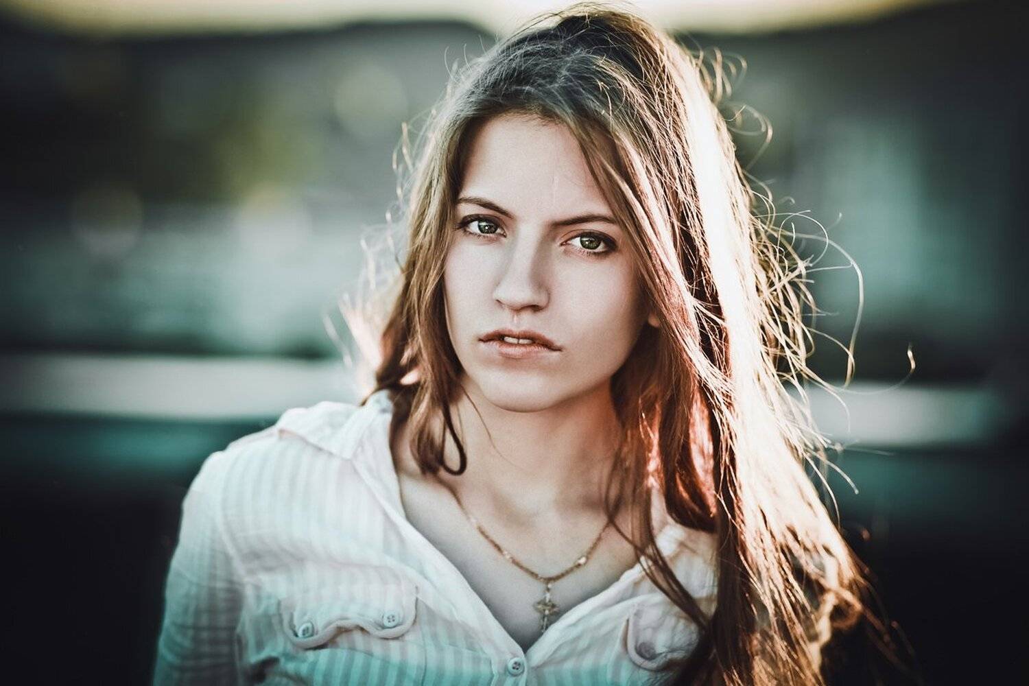 , Шептицкий Михаил